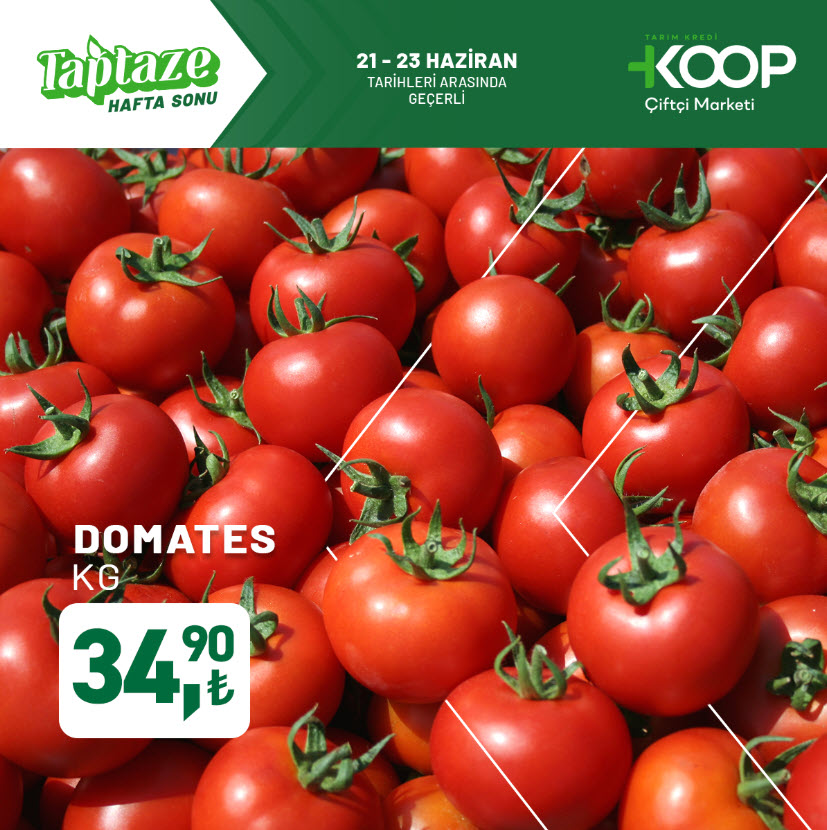 Tarım Kredi Kooperatif Market 21 Haziran 2025 Kataloğu