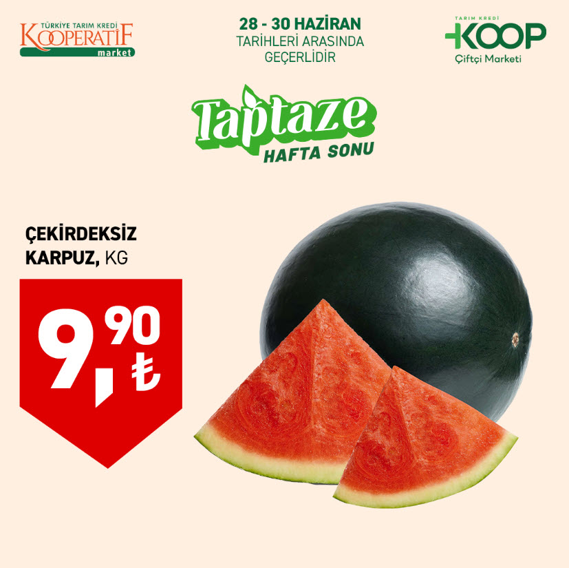 Tarım Kredi Kooperatif Market 28 Haziran 2025 Kataloğu